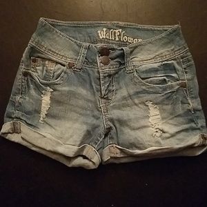 Cute Jean Shorts